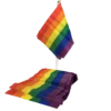 Steag Pride LGBT 20 x 15 cm